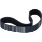 COURROIE POLY V 559 J12 - 0K7497