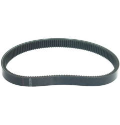 COURROIE TRAP - 900 W25 - 0KJ037