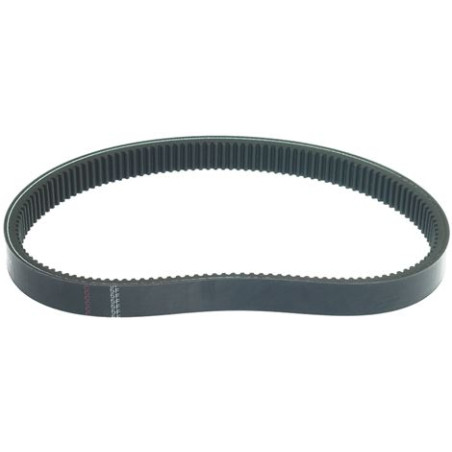 COURROIE TRAP - 900 W25 - 0KJ037