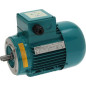 MOTEUR EQUIPE T10S/T15S T230/4 - 0D0184 MOTEUR EQUIPE T10S/T15S T230/4 - 0D0184
