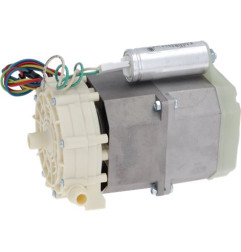 ELECTROPOMPE OP R63.T33.PRSM 0,33HP 5505
