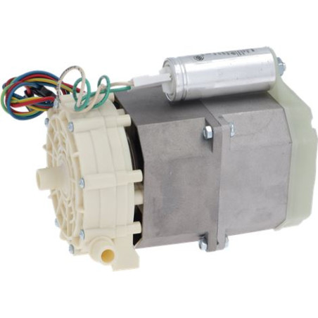 ELECTROPOMPE OP R63.T33.PRSM 0,33HP 5505