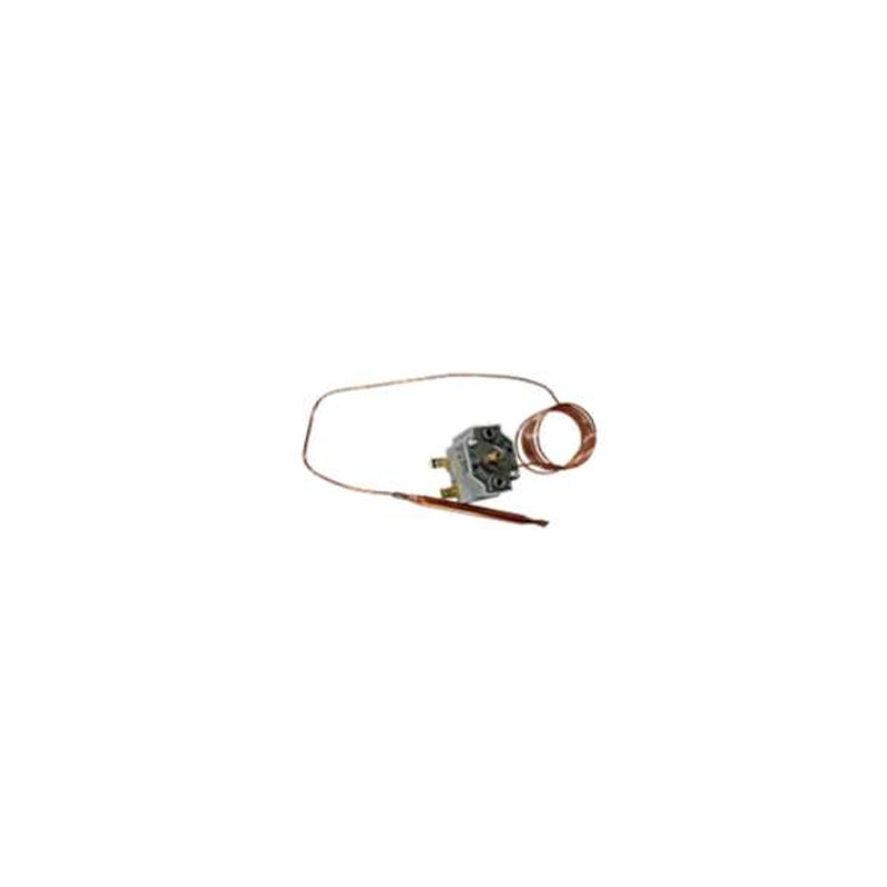 THERMOSTAT AVEC VIS DE RÉGLAGE PLAGE 0°À 90° 262093