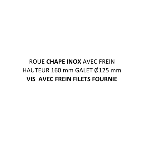ROULETTE INOX A OEIL 249169 remplace 249245 tournus