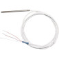 SONDE TEMPERATURE PT100 CAPIC E403525