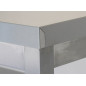Table de travail avec roulettes et tablette inférieure (1600X700H900mm) Table de travail avec roulettes et tablette inférieure (1600X700H900mm)