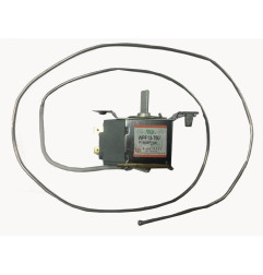 Thermostat Polar