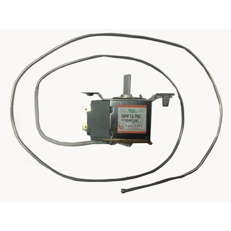 Thermostat Polar