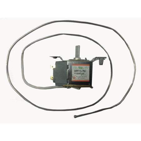 Thermostat Polar