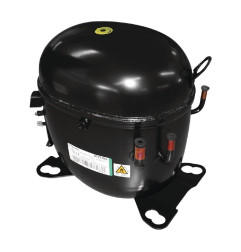Compresseur Polaire (R290-NT2210U)