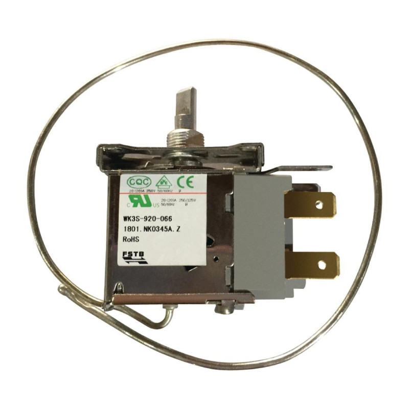 Thermostat Polar