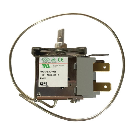 Thermostat Polar