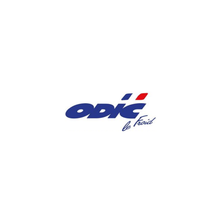 Paire de glissières inox pour bac gastro (spécial odic)