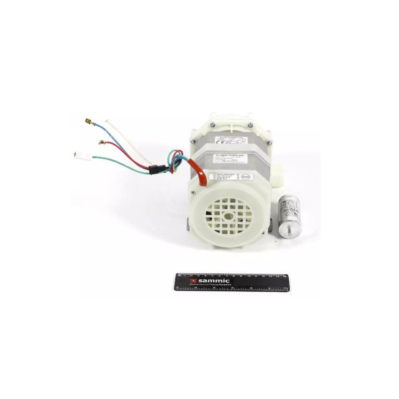 Motopompe 1.1HP 230/50/1 2319705 Motopompe 1.1HP 230/50/1 2319705
