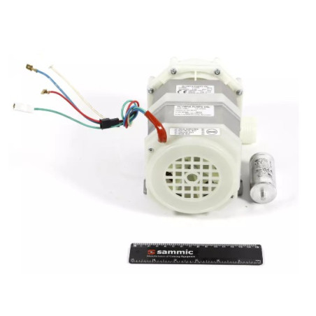 Motopompe 1.1HP 230/50/1 2319705