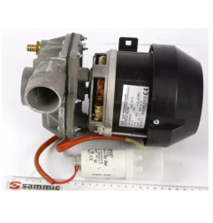 Motopompe 1.2HP 60HZ 2319463