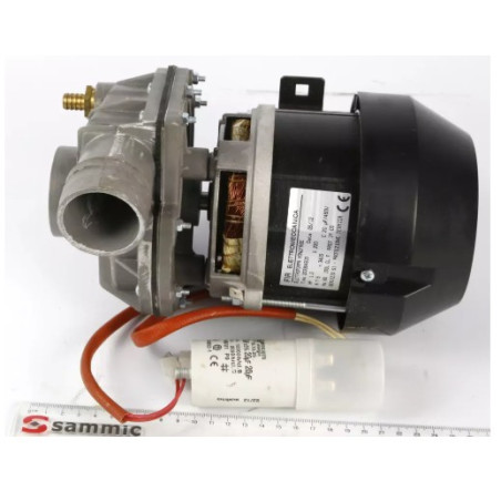 Motopompe 1.2HP 60HZ 2319463