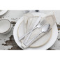 Fourchettes de table Olympia Clifton (lot de 12)