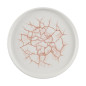 Assiettes avec rebord Churchill Studio Prints Kintsugi Coral 220mm (Lot de 6)