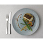 Assiettes coupe ronde Churchill Studio Prints Raku Topaz Blue 248mm (Lot de 12)