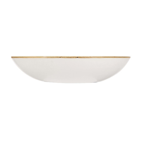 Assiettes coupes rondes Churchill Stonecast Duck Egg Blue 182mm (Lot de 12)