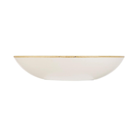 Assiettes coupes rondes Churchill Stonecast Spiced Orange 220mm (Lot de 12)