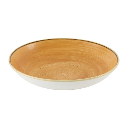 Bols Churchill Stonecast Tangerine 248mm (Lot de 12)