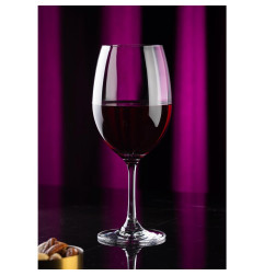 Verres à vin Utopia Nile 450 ml (lot de 6)