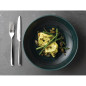 Assiettes coupes rondes Churchill Stonecast Patina Rustic Teal 40oz 248mm (Lot de 12)