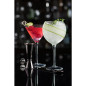 Verres à martini Hayworth Utopia 300 ml (lot de 6)