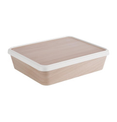 Boîte repas Bento APS 300 x 250mm 