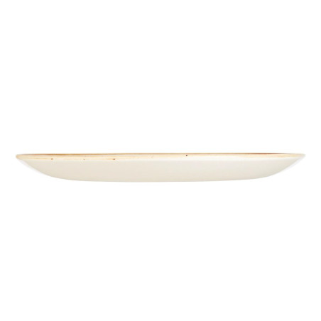 Assiettes rondes Churchill Stonecast Spiced Orange Evolve 288mm (Lot de 12)
