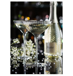 Coupes Hayworth Utopia 290 ml (lot de 12)