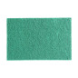 Tampons abrasifs verts 100% recyclés Jantex 225x150mm (lot de 10)