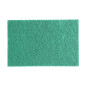 Tampons abrasifs verts 100% recyclés Jantex 225x150mm (lot de 10)