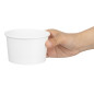 Pots à glace Fiesta Recyclable 240ml (lot de 1000)
