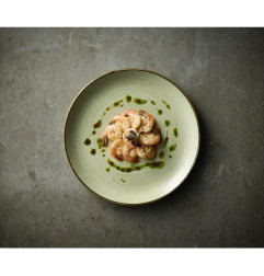 Assiettes avec rebord Churchill Stonecast Raw Green Evolve 260mm (Lot de 12)