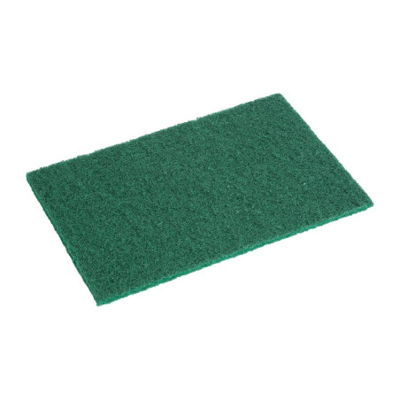 Petits tampons à récurer Jantex verts (lot de 10)