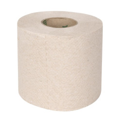 Rouleaux de papier toilette Jantex Green 100% recyclé 2 plis 320 feuilles (lot de 36)