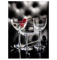 Verres Nick et Nora Botanist Utopia 16cl (lot de 6)