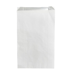 Sacs en papier doublés en aluminium Fiesta Recyclable 305x180x60mm (lot de 500)