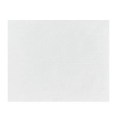 Papier d'emballage burger Fiesta Compostable blanc 250x200mm (lot de 200)