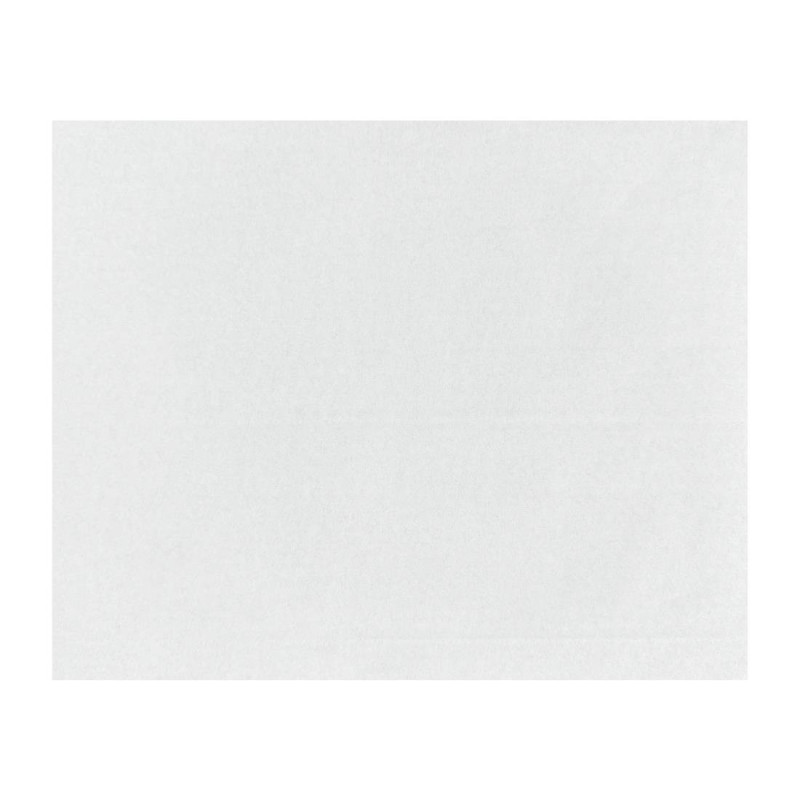 Papier d'emballage burger Fiesta Compostable blanc 250x200mm (lot de 200)
