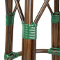 Tabourets de bar Parisian Style PE Rattan Bolero bois foncé verts (Lot de 2)