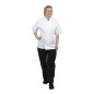 Vestes de cuisine manches courtes Whites Boston blanches S (lot de 5)