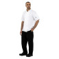 Vestes de cuisine manches courtes Whites Boston blanches L (lot de 5)