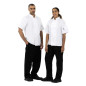 Vestes de cuisine manches courtes Whites Boston blanches L (lot de 5)