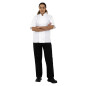 Vestes de cuisine manches courtes Whites Boston blanches L (lot de 5)