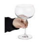 Verres piscine Olympia Lillie 580 ml (Lot de 6)