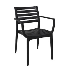 Fauteuils noirs Artemis (lot de 2)